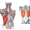 올데이원 이미지