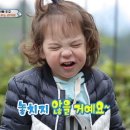 신항가보자대게