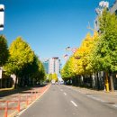 그날을담다 이미지