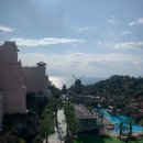 하나로363초밥 | [제주] 롯데호텔제주 5성급 더블 온돌 가든룸(Deluxe Onedol Garden), 룸서비스, 더 캔버스 후기