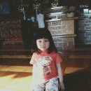 롯데리아속초점 이미지