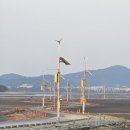 제부도 워터월드 펜션 이미지