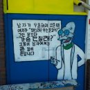 동갈보대 이미지