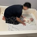 스타월드 | 신생아, 아기 침대 (꿈비 월드스타 클린 유아 범퍼침대 솔직 후기)