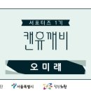공릉동도깨비시장 이미지
