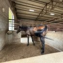 오봉로 10번길 이미지