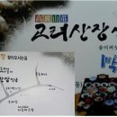 01-62 동구 Daum카페