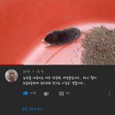 20240928 린킨파크 내한 후기