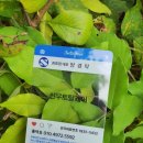 동광양키즈태권도 이미지