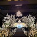 신반포역 4번출구 뒤 | 반포 더컨벤션, 26년도 견적 상담 후기 및 웨딩홀 투어