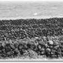 제주이야기 민박 이미지