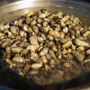 사랑방다슬기 이미지