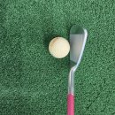 R-2 | 로마로 여성 아이언 추천받고 레이 타입R 플러스2 구입한 후기 (서산 골프샵 방문기)