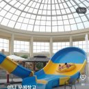 도곡원네스 스파,리조트 | 광주근교물놀이 크리스마스무료입장 도곡원네스스파리조트 썬웨이어드벤처 도곡온천