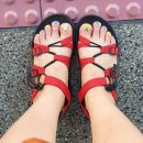 엣지오브넬 | [역곡네일] 실력좋고, 친절한 엣지오브넬 (feat.여름패디준비끝!)