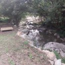 봉화군 재산면 갈산리 산자락아래위치한 자연인토지 주말농장토지 계곡끼고 세컨터 완비된땅 444평 매매 *** **** **** 이미지