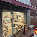 쩰리네과자점 | 내돈내산 웨딩촬영 케이크 소품 쩰리네과자점 딸기케이크 후기