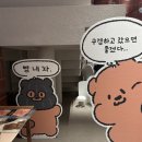 고미 | 수원 스타필드 빵고미 팝업 후기 굿즈부터 포토존까지 귀여움 한가득