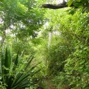 엘라(ELLA) 이미지