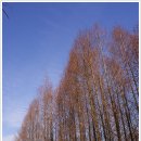 문효영당 | [20100127]시흥 늠내길 제3코스 옛길을 역방향으로 다녀오다 - 2부