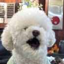 위랩아트스페이스