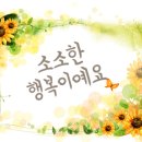 포레스트랩
