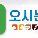판교종합동물병원 네이버블로그