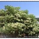 펜션빛뜨란 이미지