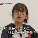 황금오락실 이미지