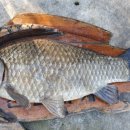 하마낚시터 이미지