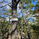 반송중학교 | 부산 아홉산,개좌산,무지산,운봉산 멋진 풍경 가을 등산