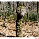 남양목장 이미지