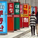 월드부동산중개 이미지