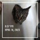 서초중앙로24길 55 (1) 이미지