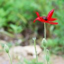 운정초등학교 이미지