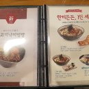 국수나무? 이미지