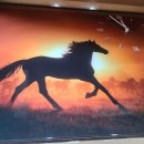 (주)벨카리노 이미지