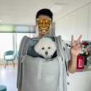 서울 셀프사진관 예쁘냥 강남점