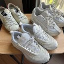 수목토 세탁소 이미지