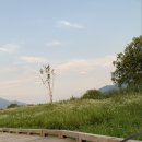 신장둔치 이미지