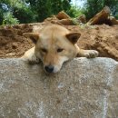 순덕농장 이미지