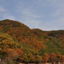 푸른초장 이미지