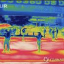 친환경 wpc양산 신카 구매 후기