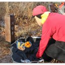 와룡마을 이미지