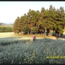 공음농장 이미지