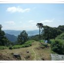 며칠간 이곳 저곳을 다녀와(鷄足山및 壯泰山,炭島港및 목섬,九峰島 해솔길,바다 향기 테마 파크trekking후 멋진 日沒,咸白山 정상까지~~`) 이미지