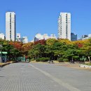 부천시청 주변 이미지