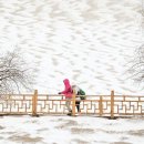 은빛세상 이미지