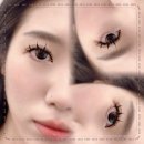 제시속눈썹
