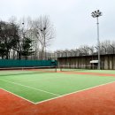 양재시민의숲 테니스장 이미지